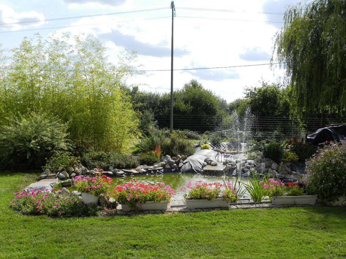 Chambres D'Hotes La Queriere Mur-de-Sologne ภายนอก รูปภาพ