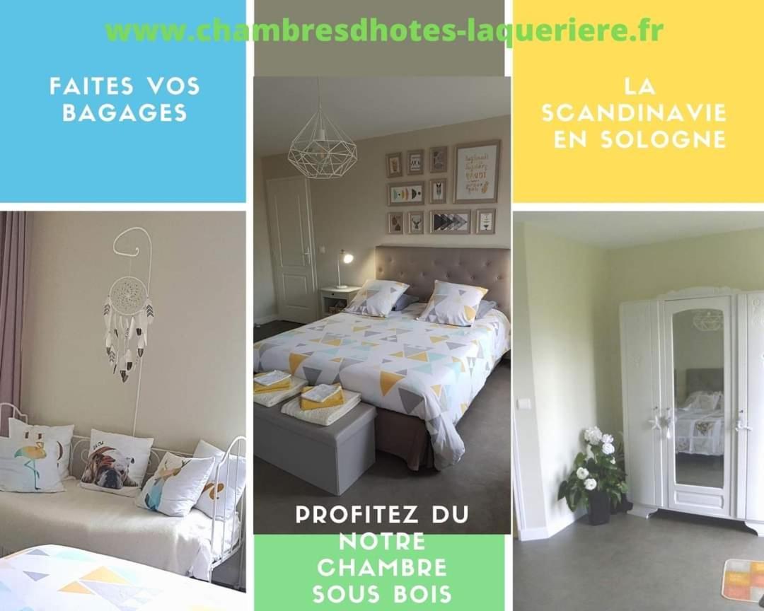 Chambres D'Hotes La Queriere Mur-de-Sologne ภายนอก รูปภาพ