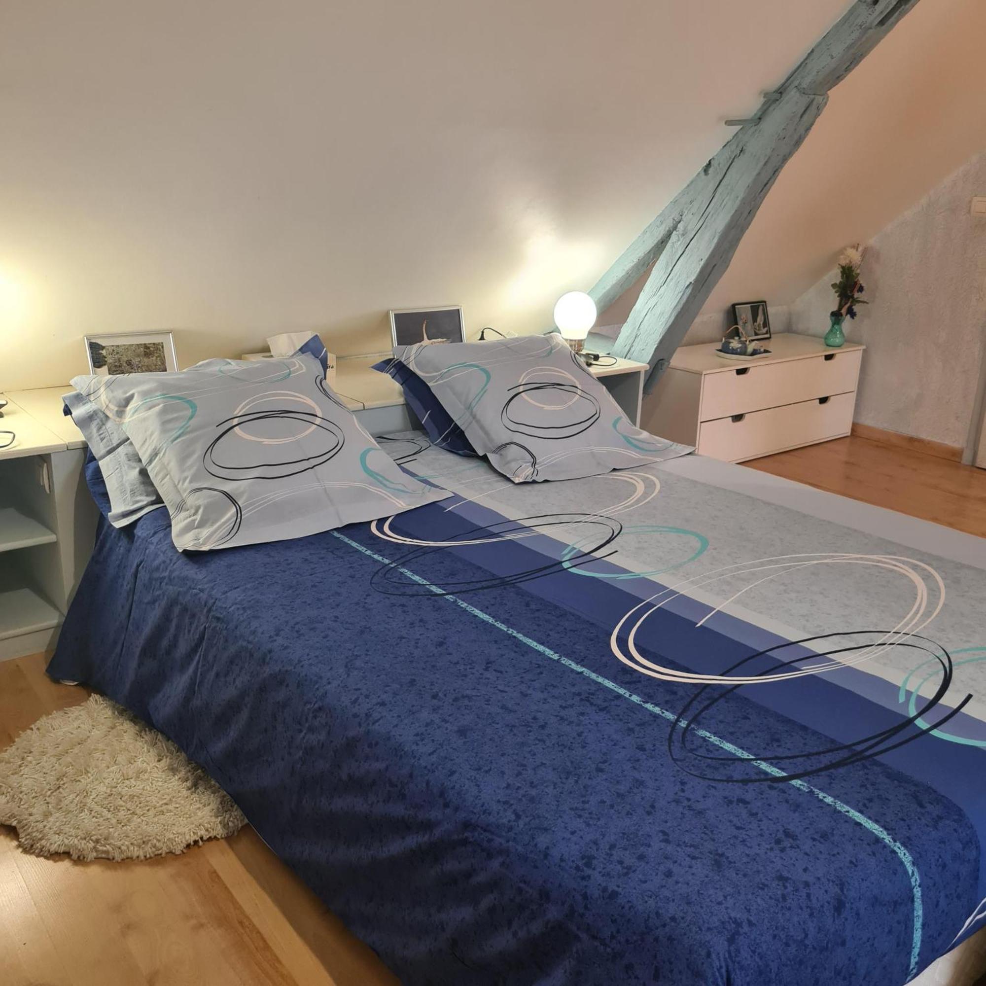 Chambres D'Hotes La Queriere Mur-de-Sologne ห้อง รูปภาพ